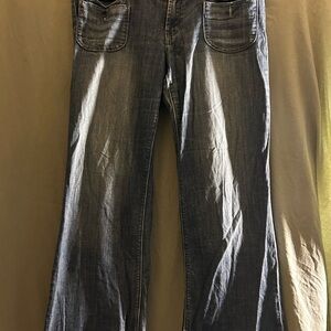 American Eagle Outfitters Classic Blue Wide Leg Jeans